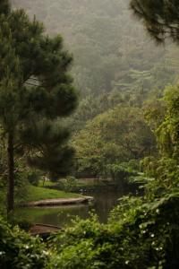 a river in the middle of a forest with trees at Rivana Retreat in Sóc Sơn