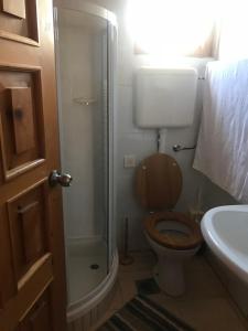a bathroom with a shower and a toilet and a sink at Apartman Nadia in Karlobag +54 photos