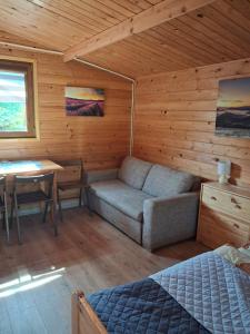 a room with a couch and a table in a cabin at Zielony Zakątek domki i pokoje 661-038-537 in Polańczyk