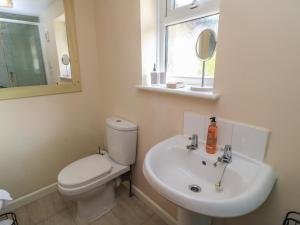 a bathroom with a toilet and a sink and a mirror at Ryecross Farm Cottage in Melbury Abbas +11 photos