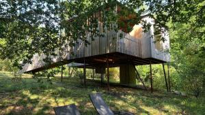 a tree house in the middle of a forest at Cabanas das Chousas in Lugo