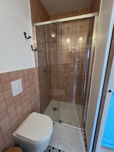 a bathroom with a toilet and a shower at Cozy studio in Cancale in Cancale