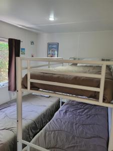 a bedroom with two bunk beds and a window at Ocean Lodge Messanges in Messanges
