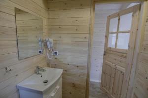 a bathroom with a sink and a mirror at Domek wakacyjny Bloom in Rewa
