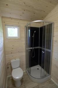 a small bathroom with a toilet and a shower at Domek wakacyjny Bloom in Rewa