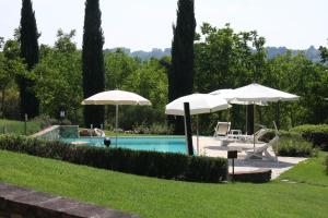 a swimming pool with two umbrellas and chairs and a pool at Podere La Chiusella B&B in Rapolano Terme