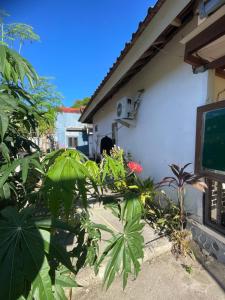 a house with a tv and plants in front of it at AFWA Surf and Stay in Selong Belanak