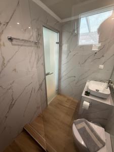 a bathroom with a shower and a toilet and a sink at ΑVLI Superior Studio Sarti no6 in Sarti +6 photos