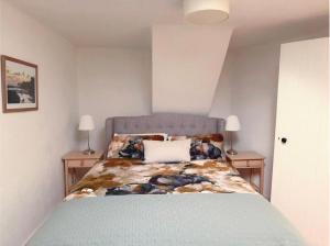 a bedroom with a bed and two tables with lamps at 2 bed cottage, in the Wicklow Mountains in Tinahely
