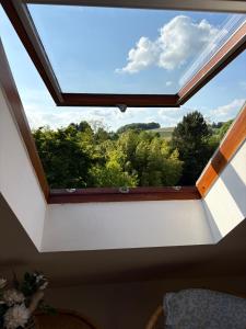 a skylight window in a room with trees at Green View Apartment in Wülfrath
