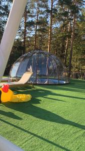 a tent and a chair on the grass with a dome at Avenue Boutique Hotel in Borovoye
