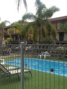 a fence in front of a pool with chairs and a palm tree at Aquarius Holiday Apartments in Batemans Bay