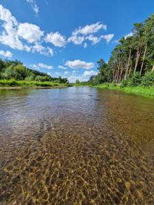 a river with trees and clouds in the background at Chata Koszelanka in Nadkole +23 photos