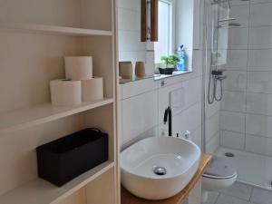 a bathroom with a sink and a shower and a toilet at Ferienwohnung "Haggi" 35672 in Uplengen +18 photos