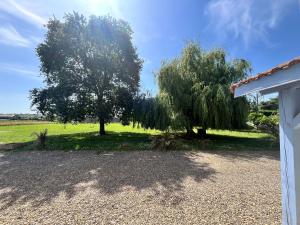 a tree next to a field with a house at L’Instant in Caupenne
