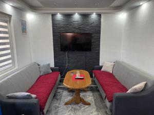 a living room with couches and a table and a tv at Vikendica Marija, Culine in Mali Zvornik
