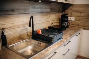 a kitchen counter with a sink with a toaster at The Home in Gheorgheni