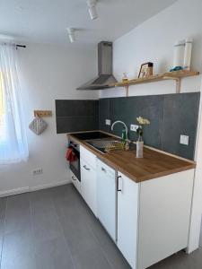 a kitchen with a sink and a counter top at Schlosserhäuschen in Leipzig +2 photos