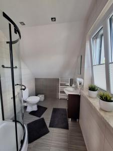 a bathroom with a shower and a toilet and a sink at Domki Wichrowe Wzgórze Bieszczady in Bukowiec