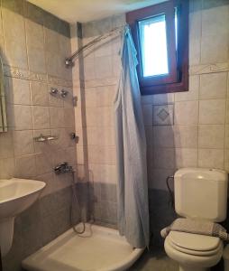 a bathroom with a toilet and a shower and a sink at Steni Vala Apartments in Steni Vala Alonissos