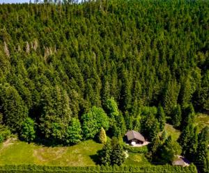a house in the middle of a forest of trees at Little Paradise hidden from view in Liézey