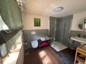 a bathroom with a shower and a toilet and a sink at Glücksschmiede Hennersdorf in Dippoldiswalde +16 photos