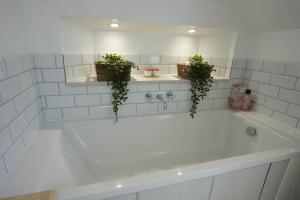 a bath tub with two plants on top of it at Steps to the Sand in Melcombe Regis