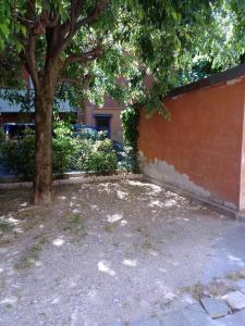 Ein Baum steht neben einer Mauer neben einem Gebäude in der Unterkunft Karibu in Modena