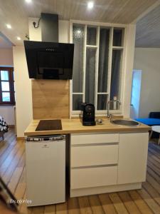 a kitchen with a counter with a sink and a microwave at Gîte climatisé "Baugallo Accordailles" in Saint-Montan
