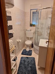 a bathroom with a toilet and a shower and a sink at Holiday House Snjezana in Krk