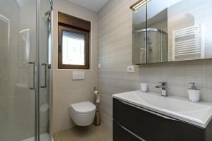 a bathroom with a sink and a toilet and a mirror at Apartments Villa Ana in Palit