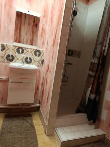 a bathroom with a sink and a shower at La fermette de Vrinette in Saint-Vérain +12 photos
