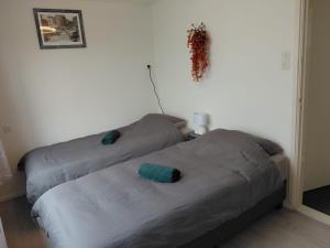 two beds sitting next to each other in a bedroom at Vijverzicht Krabbendijke centrum in Krabbendijke