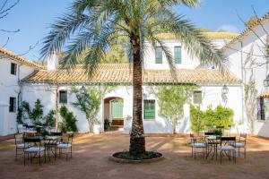 a palm tree in front of a white building with tables and chairs at Hotel Corbella in Posadas