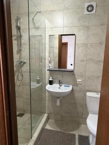 a bathroom with a shower and a sink and a toilet at Euro Hotel Hostel in Kovel
