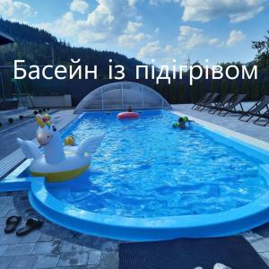 a swimming pool with a unicorn in the water at Шале АНСО in Mykulychyn