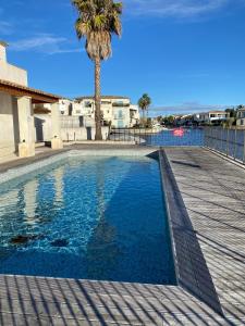 a swimming pool with a palm tree next to a building at Marina with pool in Aigues-Mortes