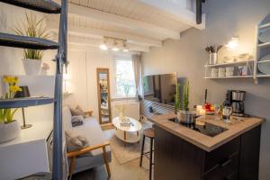 a kitchen and living room with a counter in a room at Tiny Loft Harz in Sankt Andreasberg
