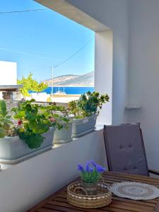 a table with potted plants on a window sill at Casa d' Irene fully equipped House in Koufonisia