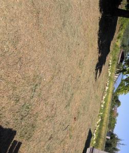 an overhead view of a field of grass with a train at Au soleil in Virac
