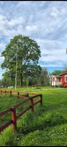 a bench in a field with a tree and a flag at Monis und Marcos B&B in Koppom