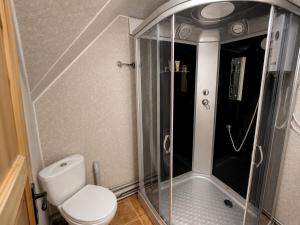 a small bathroom with a toilet and a shower at Kolsay Tanbalytas A-Frame in Kolʼbastau +22 photos