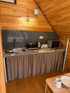 a kitchen with a sink and a counter top at Kolsay Tanbalytas A-Frame in Kolʼbastau