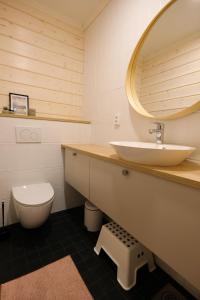 a bathroom with a sink and a toilet and a mirror at Villa Arvonpiha A in Tahkovuori +24 photos