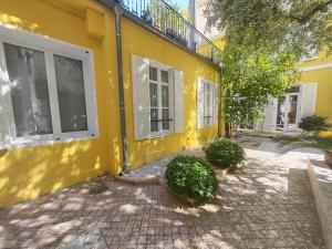 a yellow building with two windows and two bushes at La Maison Cannoise in Cannes