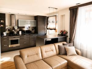a living room with a brown couch and a kitchen at Nikoletos apartamentai in Panevėžys