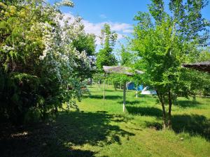 a garden with trees at Marina Park Camping in Vama Veche