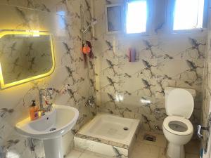 a bathroom with a toilet and a sink at chalet ramsis village in Alexandria +9 photos