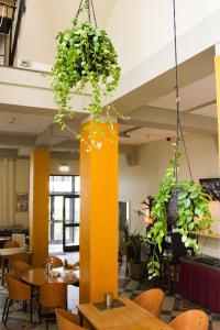 a dining room with tables and chairs and plants at Hotel Schillerbad in Lüdenscheid