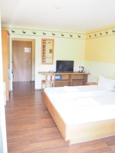 a bedroom with two beds and a desk with a television at Apartment am Christopherhof in Grafenwiesen